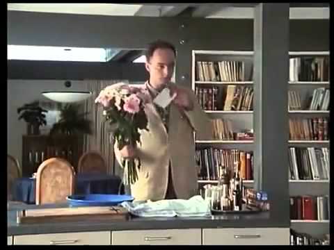 Die glückliche Familie - Folge 35 - Der Hausbock