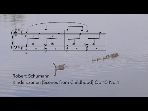 Schumann: Kinderszenen Op.15 No.1 (music score video) | Tiffany Poon