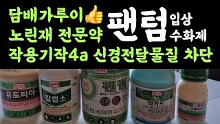 '팬텀입상수화제' 담배가루이, 노린재 등 