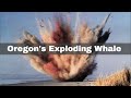 12th November 1970 A Dead Whale Is Blown Up With Dynamite By The Oregon State Highway Division