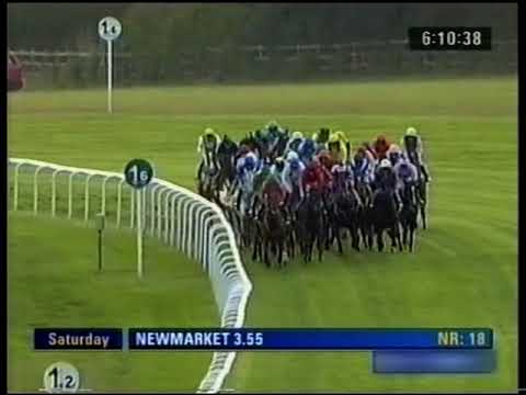 2007 £2.5 Million Totescoop6 Cesarewitch Handicap