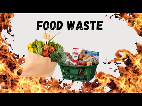 11 Ways To Reduce Food Waste