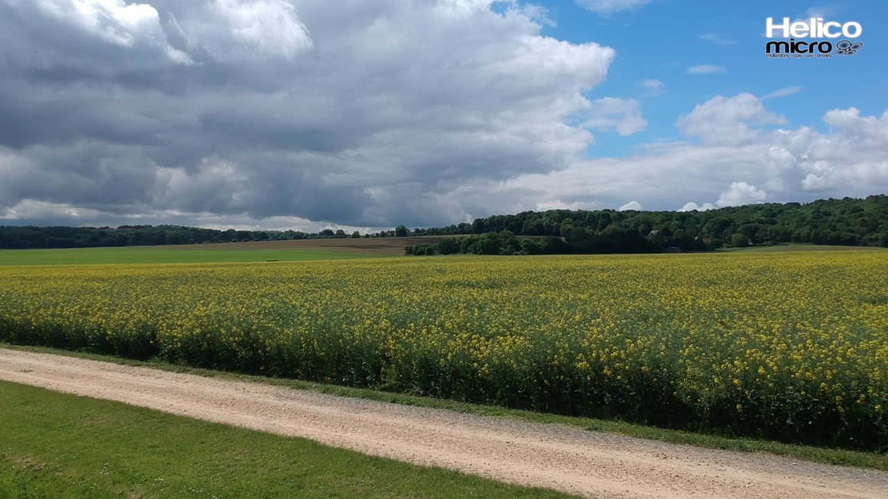 Квадрокоптер DJI Spark Fly More Combo, желтый