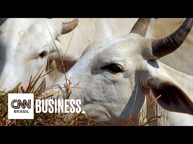 Veto da China à carne brasileira afeta mercado nacional | CNN Sábado
