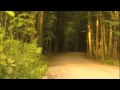 Another Day- Galaxie 500