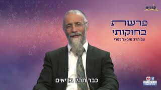 הרב מיכאל לסרי  מסר פרשת בחוקותי  איך מקבלים את הברכות ? (הרב מיכאל לסרי) - התמונה מוצגת ישירות מתוך אתר האינטרנט יוטיוב. זכויות היוצרים בתמונה שייכות ליוצרה. קישור קרדיט למקור התוכן נמצא בתוך דף הסרטון