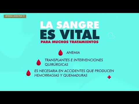 Local Noticias 29-05-26