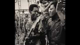 Buddy Guy And Junior Wells Hoodoo Man Blues