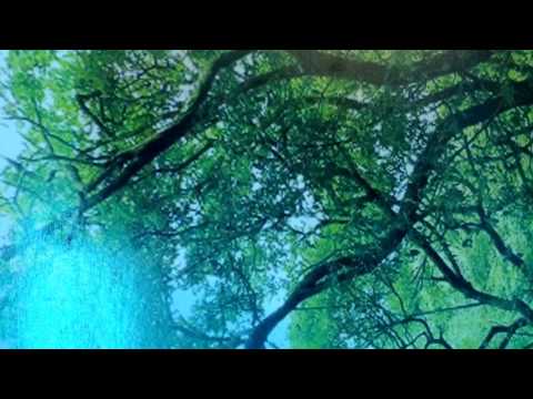 Amar a chokh doota/Mohammad Abdul Jabbar