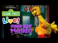 Sesame Street Live Make Your Magic Hop This Way Elmo Got The Moves