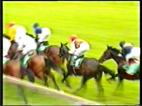2000 - Curragh - Blenhaim Stakes (Listed) - Black Minnaloushe