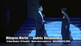 Dueto El Gato Montes - Torero quiero se - Andres Veramendi &amp; Milagros Martin - Gala Zarzuela 2009