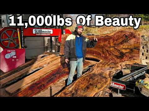 The Most Interesting Wood I've Cut In A While