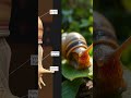 "Did you know that even slow-moving snails have teeth? 🐌🦷"