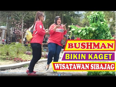 sibajag-green-canyon-2-bushman-prank-prank-manusia-pohon