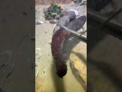 Reel tagged #funny