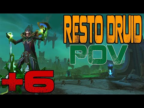 Necrotic Wake Mythic +6 Dungeon (Resto Druid PoV)