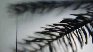 It will all happen the way it should (official)