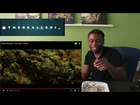 TRL Reactio / Wiśnia Bakajoko - Nawijam i smażę (PolishRap)