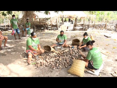 Governadora do Piauí encaminha projeto para patrimonializar o trabalho com Coco Babaçu 26 11 2022