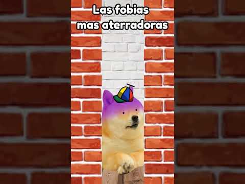 Las fobias más aterradoras 💀