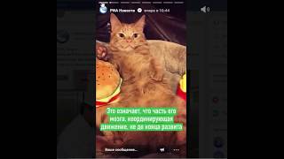 ЦИВИЛИЗАЦИОННЫЙ ПРОГРЕСС - ЭТО КОГДА В КАЖДОМ ДОМЕ СУ ДЖОК ТЕХНОЛОГИИ!