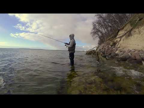 DAIWA: Auf Meerforelle mit dem Tournament Current Master