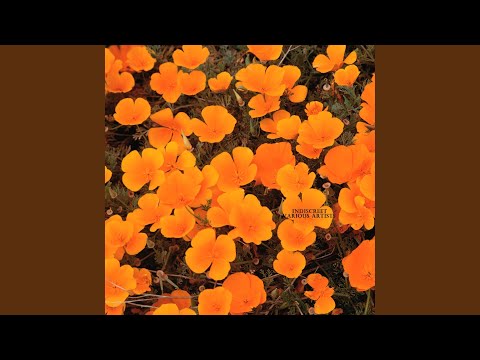 Theme from Ben Casey