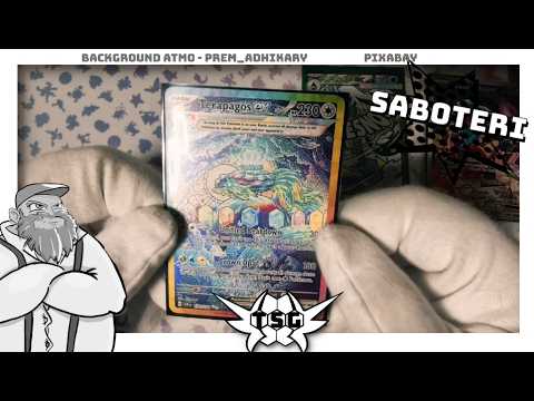 Saboteri ? Welche Karten hat der Artist #pokemon #pokemonkarten #pokémoncards #pokemonartist