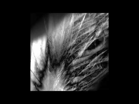 Daniel Menche - Screaming Caress (Full Album)