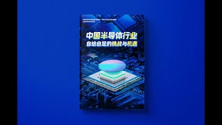 中国芯片行业现状与挑战 #芯片 #芯片战争 #中美竞争 #中芯国际 #华虹半导体 #花和尚
