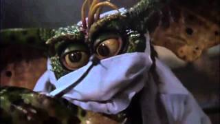 Gremlins 2: The New Batch (1990) Video