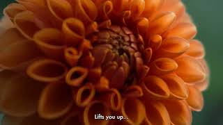 Talens x Pantone  - Brand video SUB