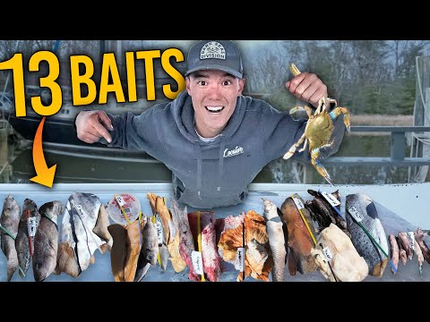 CAN IT CATCH Blue Crabs