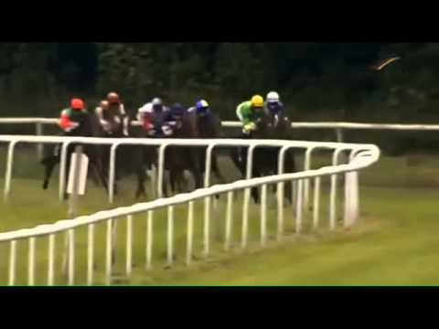 Dresden: bwin BBAG Auktionsrennen (C) - Siegerin: Königin Cala