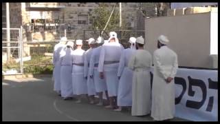 הדגמה של קורבן פסח עם ההסבר