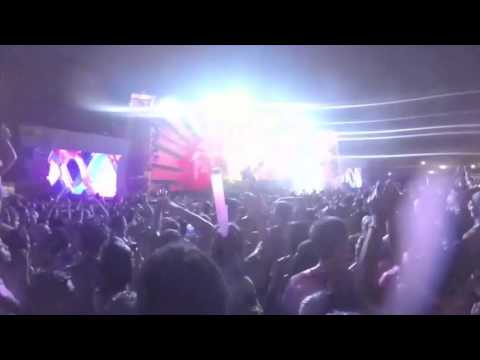 life in color miami 2016