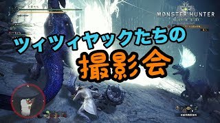 ツィツィヤックたちの撮影会に行ってみた。【withちょらさん】