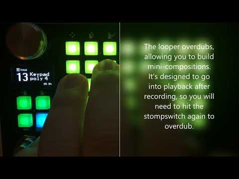 Empress ZOIA patch walk-through:  "Keypad poly 4 -- a polyphonic keyboard synth (and looper)"