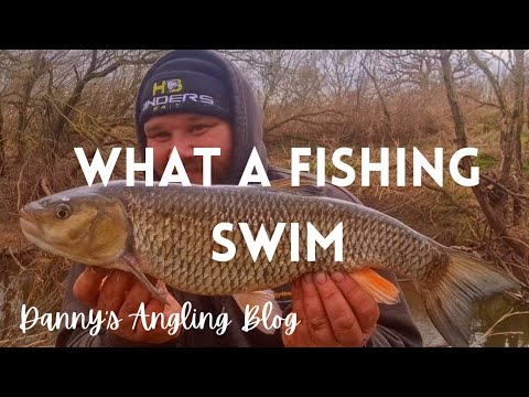 Hunt for BIG River chub!!!!