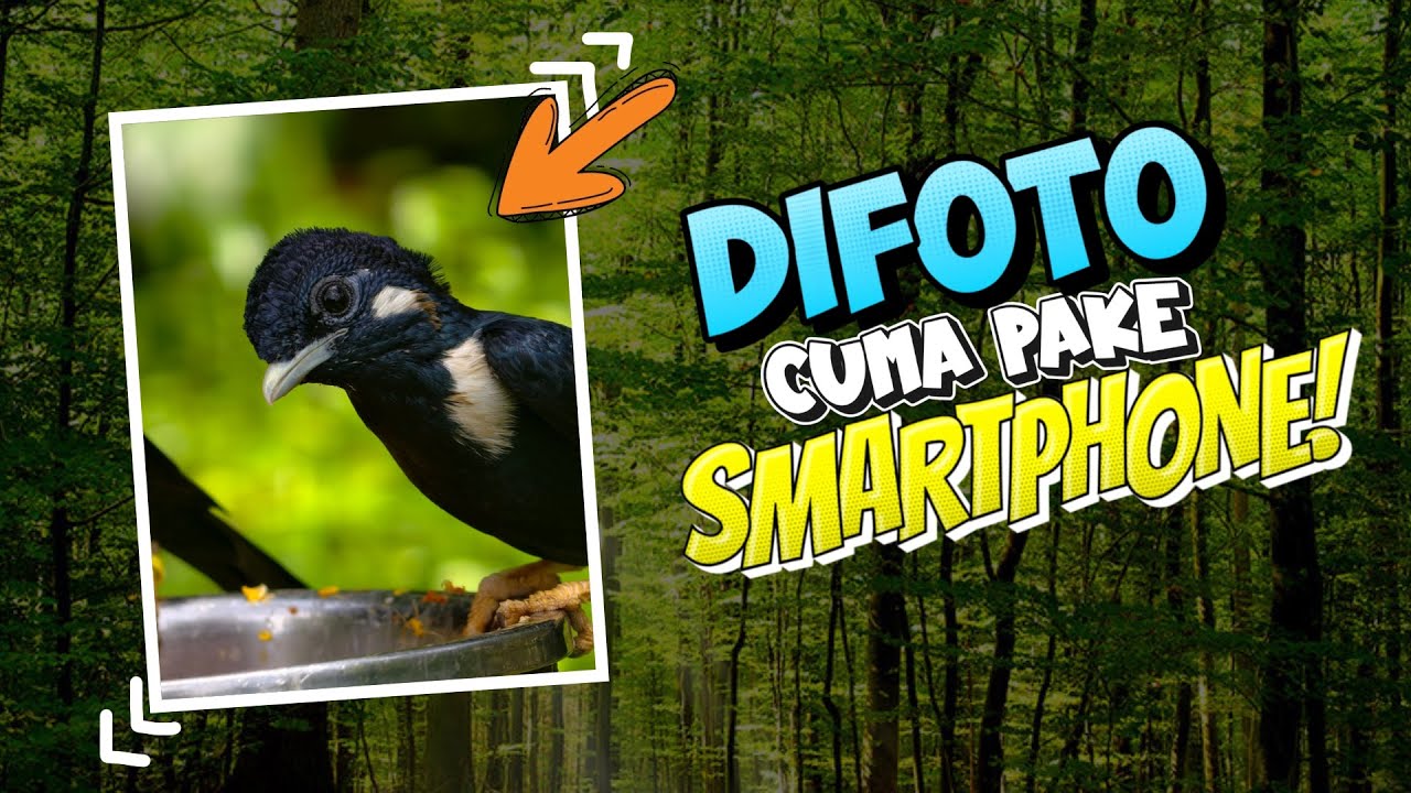 Jauh dari SEMPURNA, tapi BOLEH JUGA! - Review Photography Kit for vivo X300 Pro