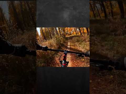 #велосипед #осень #оренбург #bike #trevel