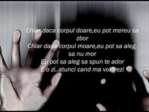 Veritasaga-Ce e frica