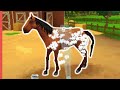 I Beat This Crazy Nintendo Ds Horse Game In One Sitting