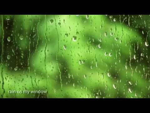 Зур насихат ((мен эримни яхши кураман))деб номланади, обуна булинг.