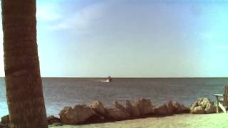 Nighthawks  - Happy Days