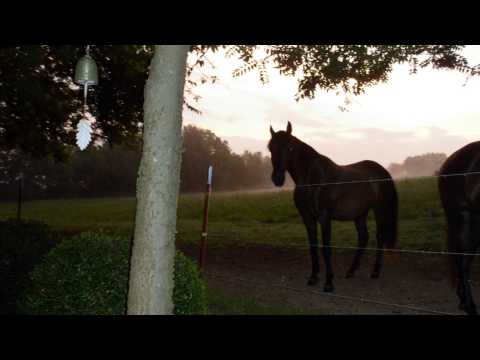 Old Rivers - Walter Brennan - 1962