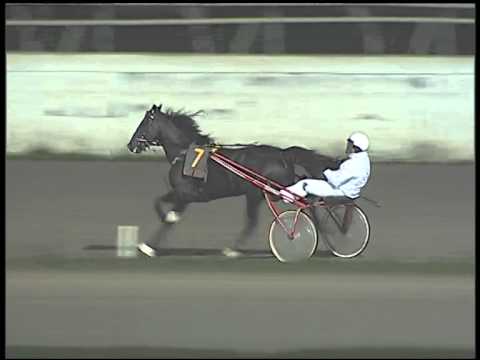 Trotto 02/12/2014 - 7° corsa