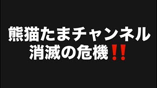 熊猫たまチャンネル消滅の危機‼️#百田尚樹　#有本香　#保守党　#河村たかし　#減税日本　#北村晴男　#竹上ゆうこ  #高市早苗　 #リハック　#アベプラ　#小泉進次郎　#小野田紀美　#片山さつき