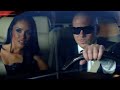 Pitbull - Back In Time